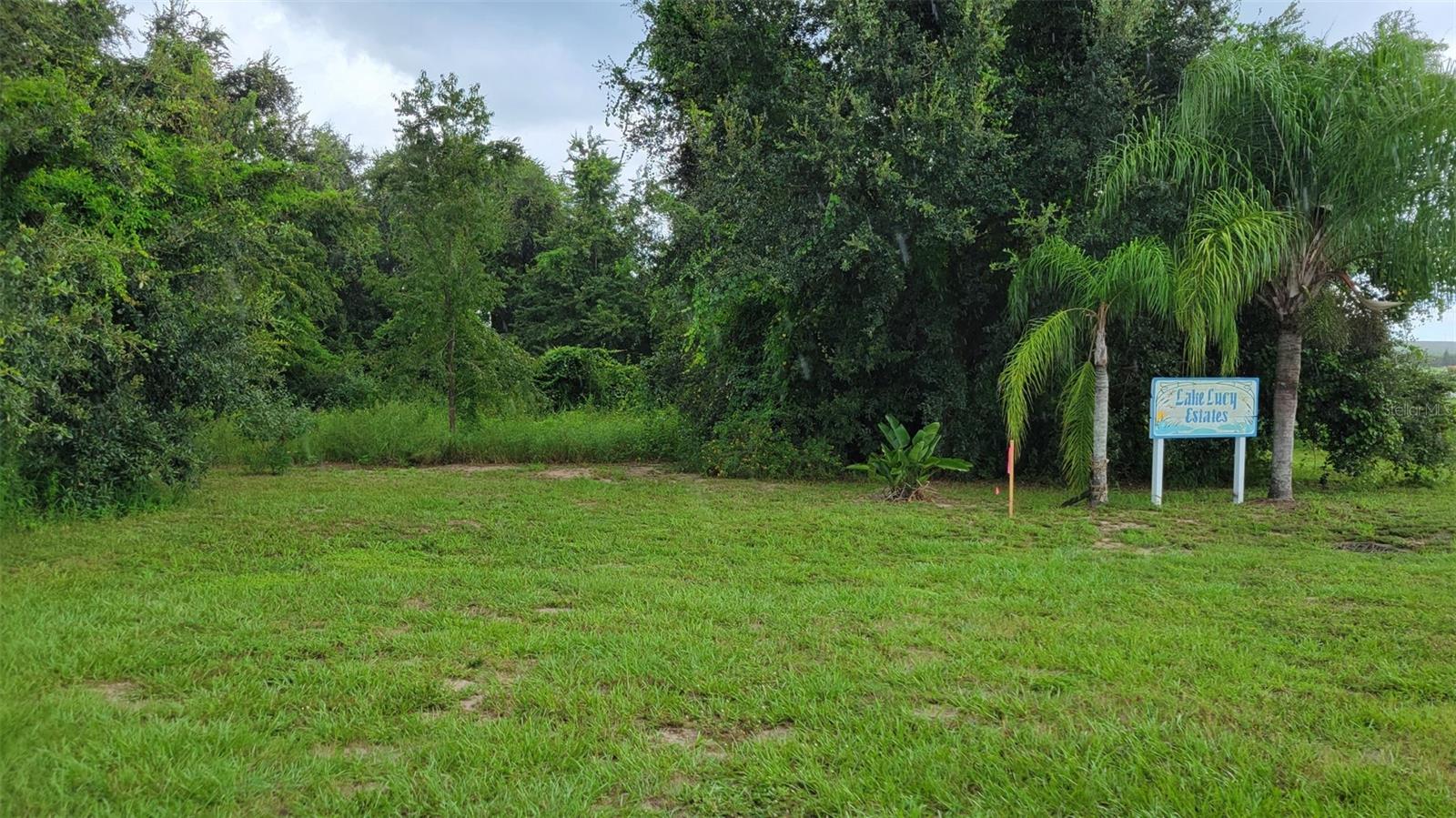 6641 Wynn Lane, FL