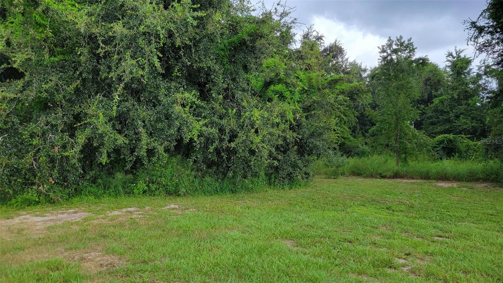 6641 Wynn Lane, FL