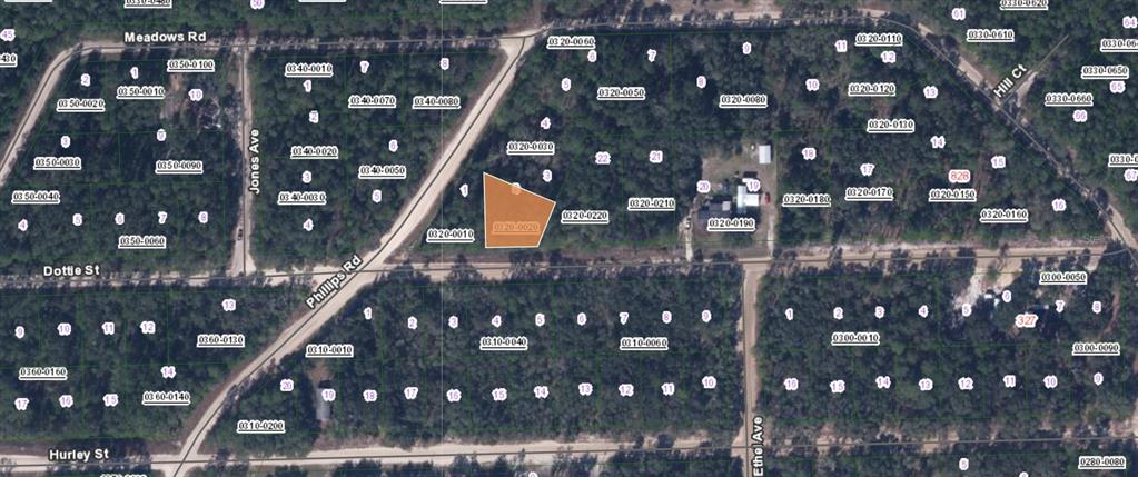 00 Dottie Street, FL