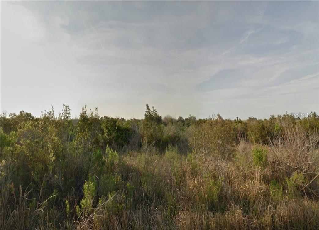 981 Laika Road, FL