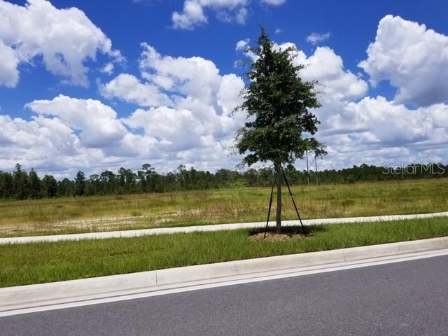 S Apopka Vineland, FL