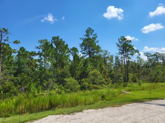 S Apopka Vineland, FL