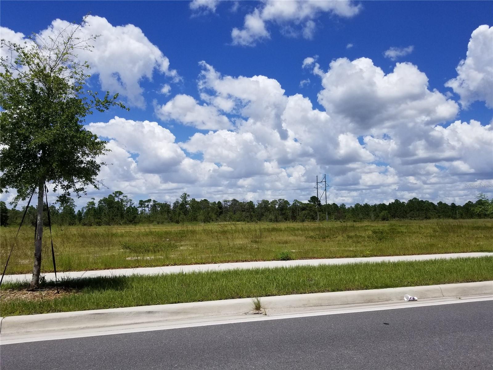 S Apopka Vineland, FL