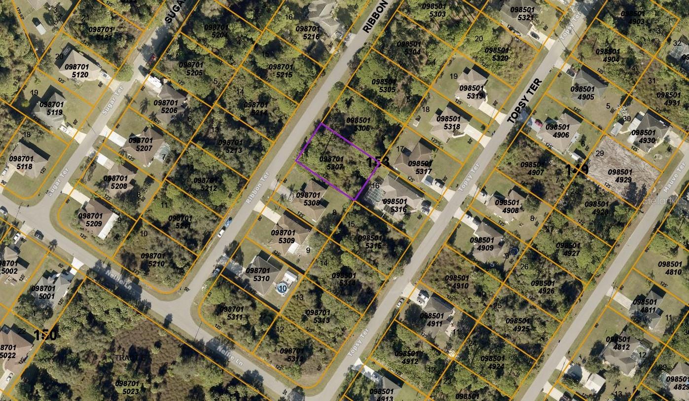 Ribbon Terrace, FL