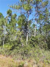 S Fork Ranch Dr, FL