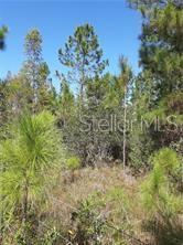 Salyers Rd, FL