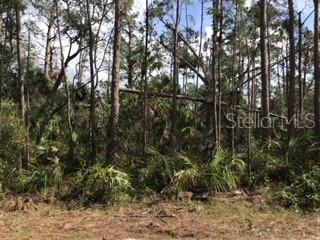 Ripley Street, FL