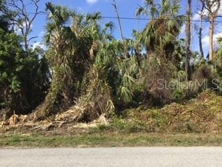 Jeannin Drive, FL