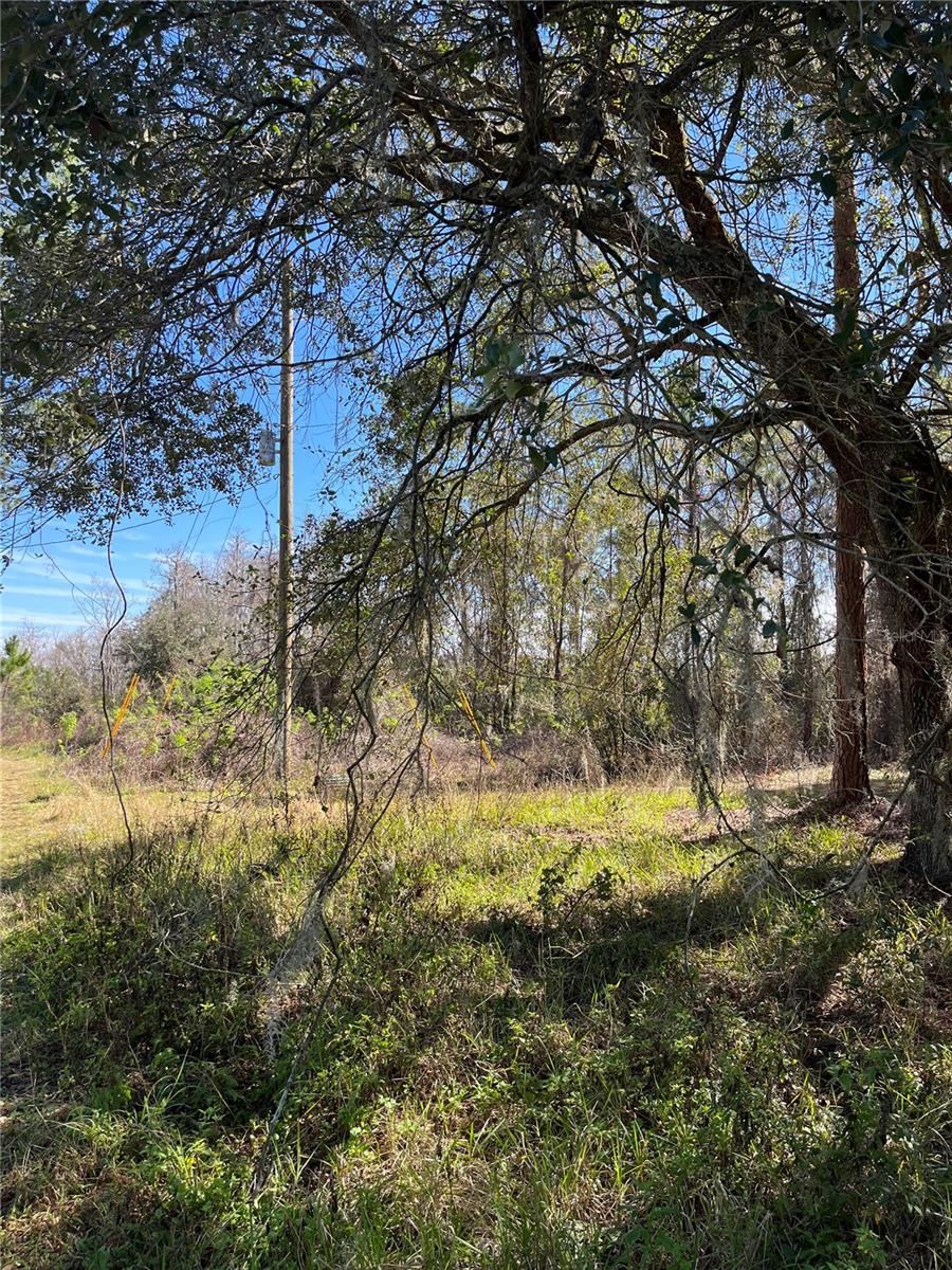 Mount Pleasant Road, FL