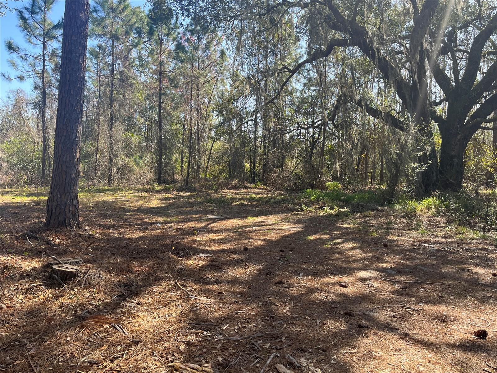 Mount Pleasant Road, FL