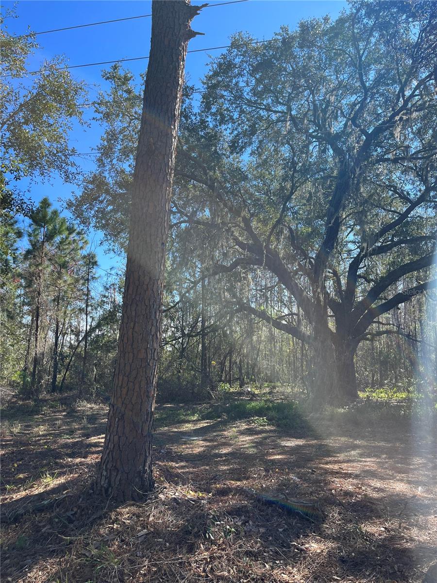 Mount Pleasant Road, FL