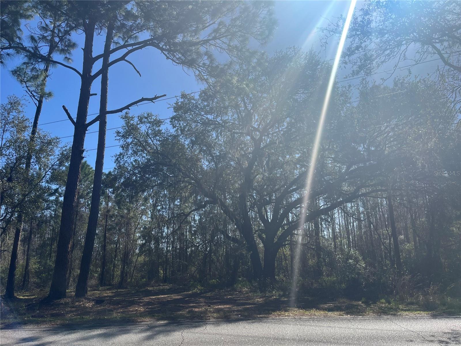 Mount Pleasant Road, FL