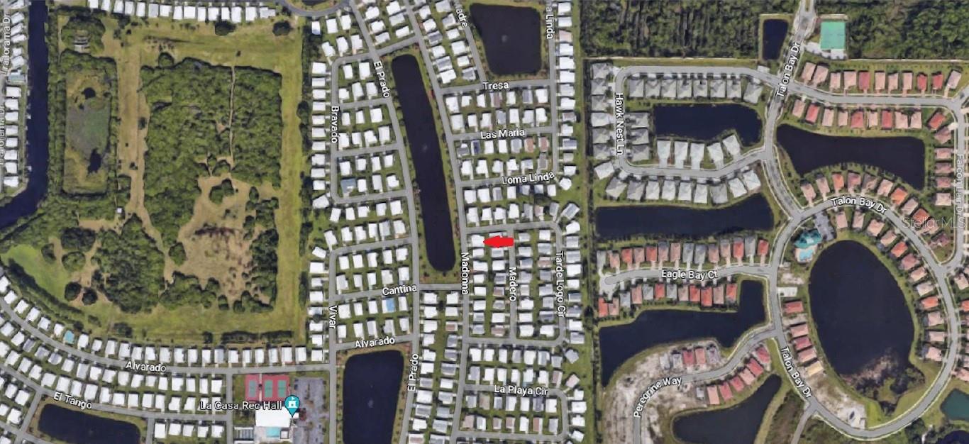 491 Madonna, FL