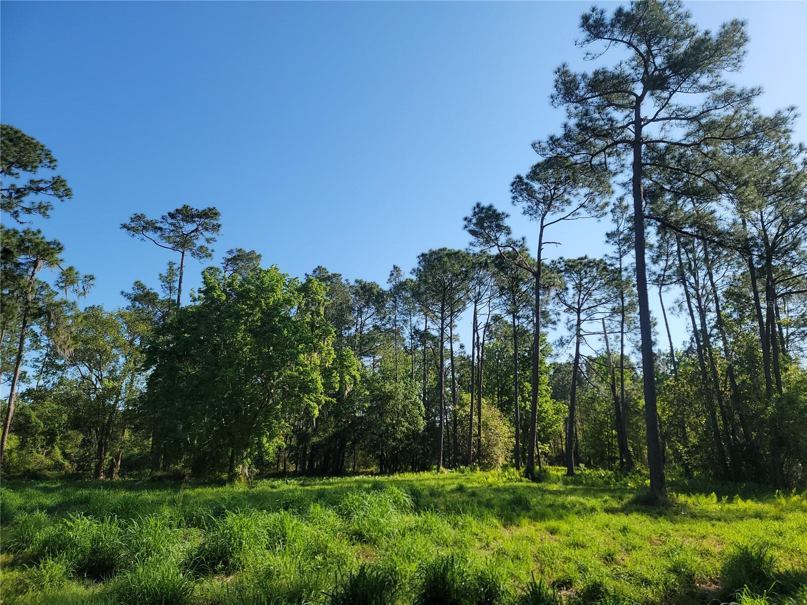 Pollard Road, FL
