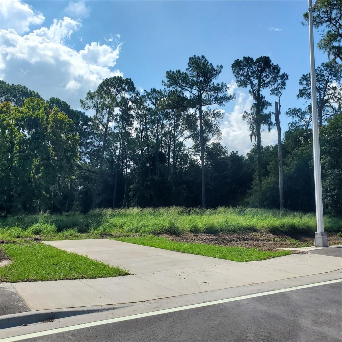 Pollard Road, FL