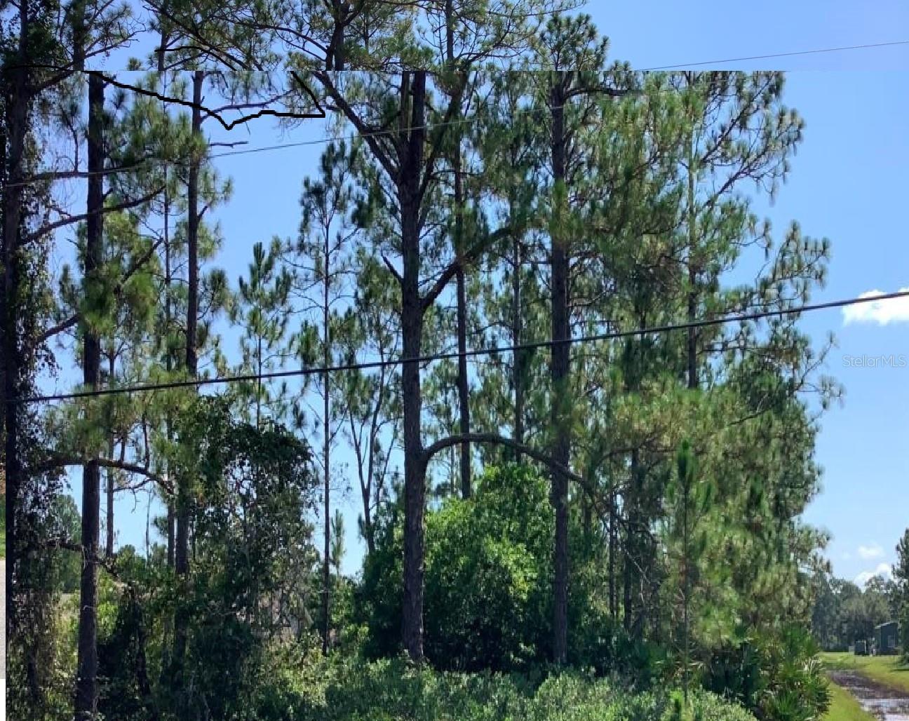 Caesar Avenue, FL