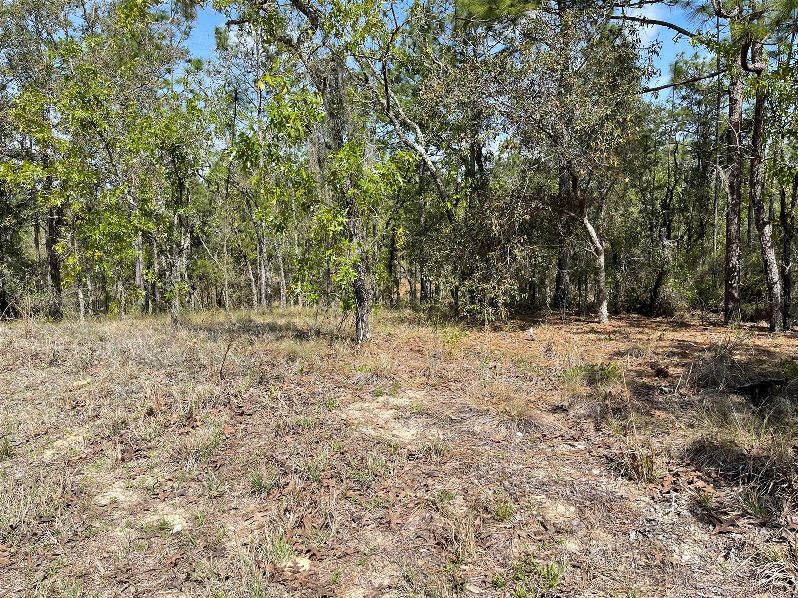 Lot 6 2 Street, FL