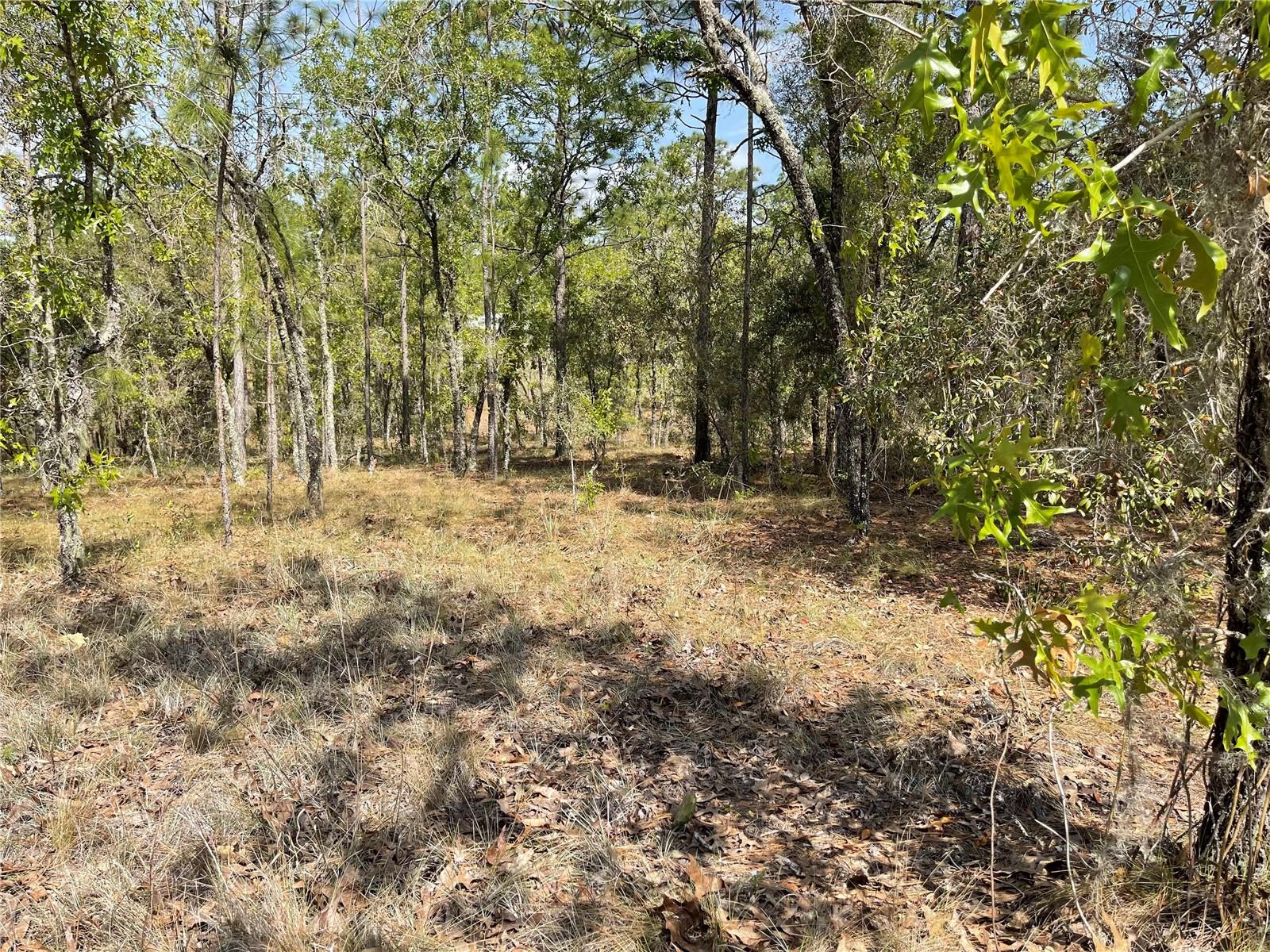Lot 6 2 Street, FL