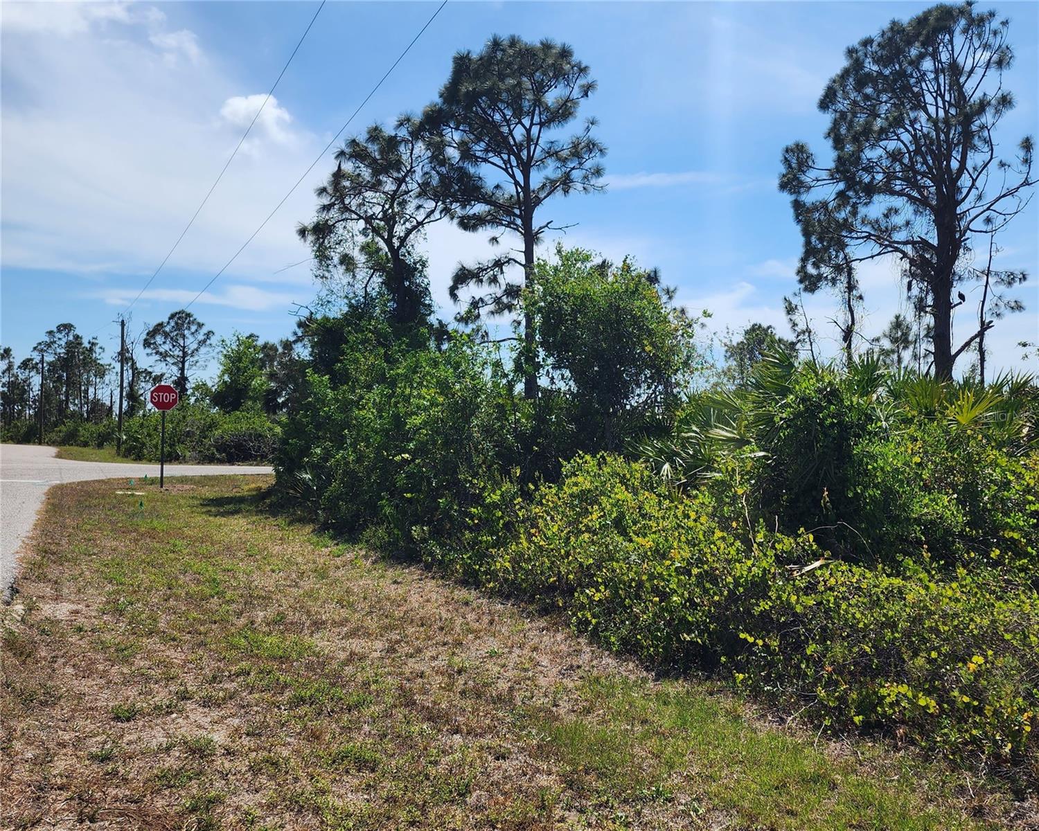 12282 Appleberg Circle, FL