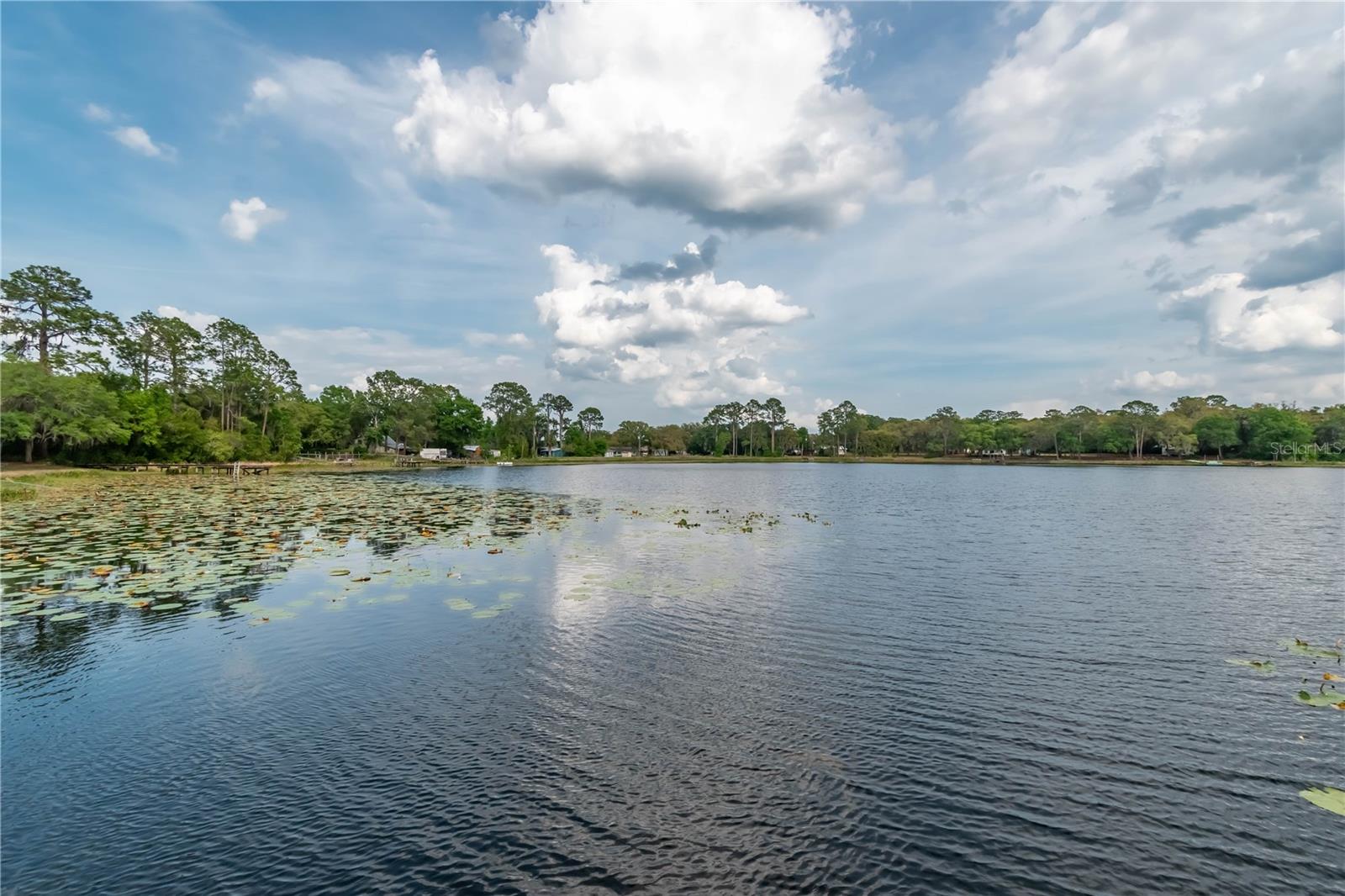 22649, 22645 And Tbd Ne 105th Avenue Rd, FL