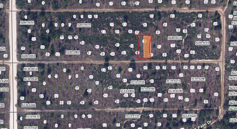 00 Birch Street, FL