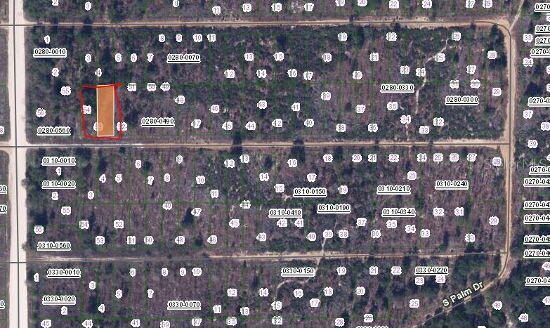 Birch Street, FL
