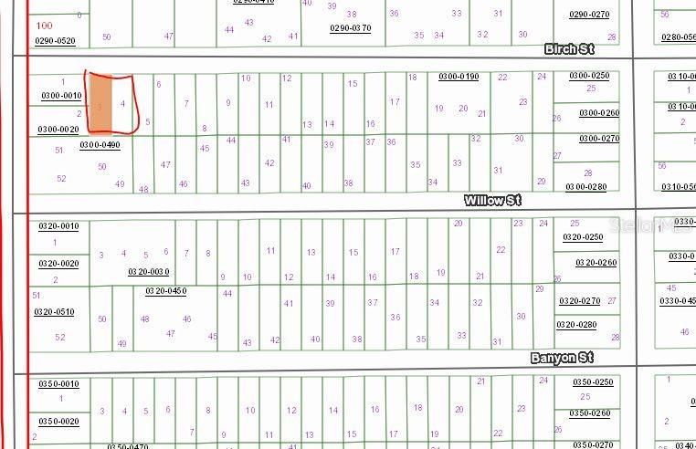 00 Birch St, FL