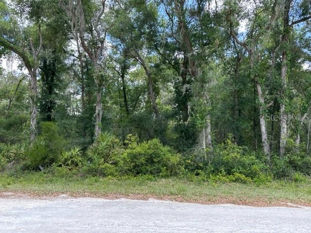 6471 Otter Dr, FL