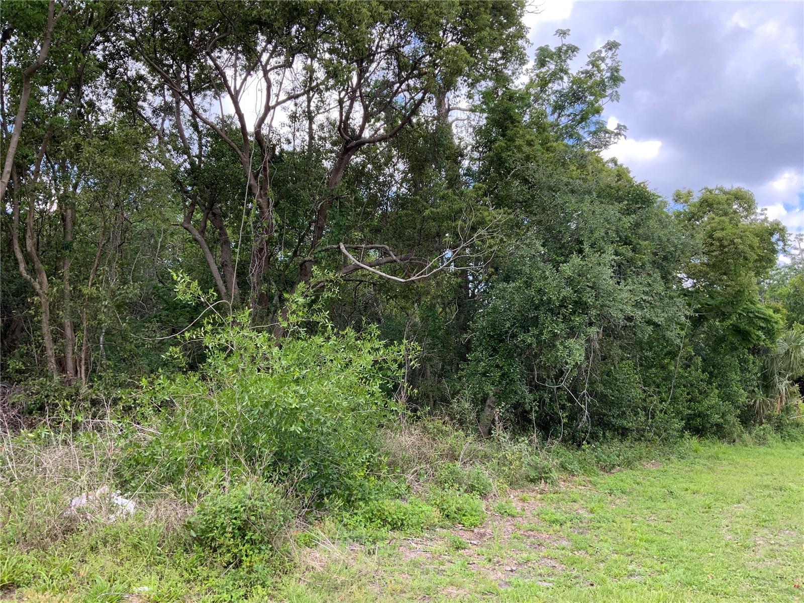 Hastings Drive, FL
