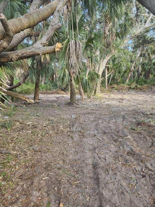 18417 Daysland Ave, FL