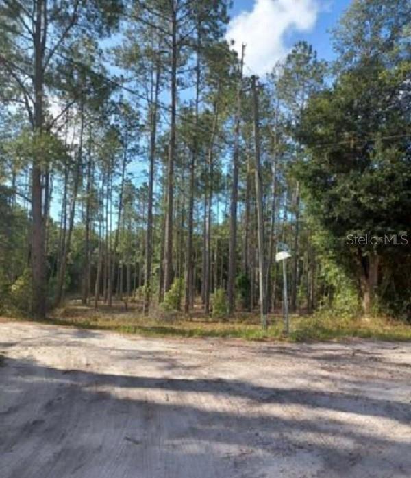 Tbd Sw Corner Sw95 Ave\Sw 158 Ln, FL