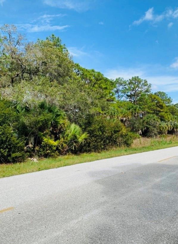 14036 Chamberlain Blvd, FL
