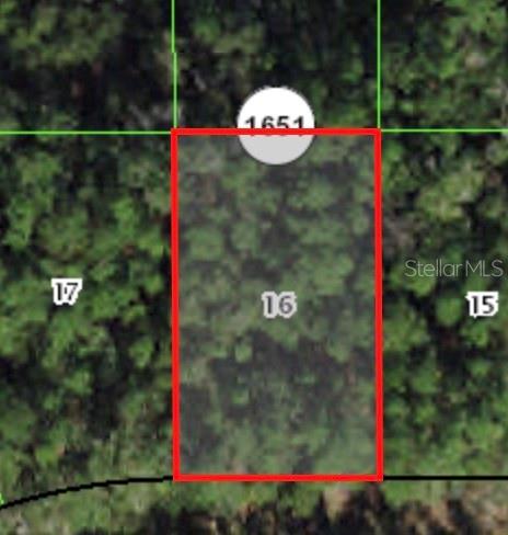 225 Enfield Lane, FL
