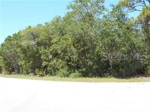 Kumquat Ave, FL