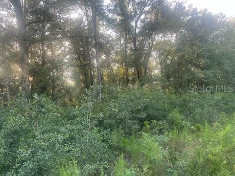 Lots 2 & 3 156 Avenue, FL