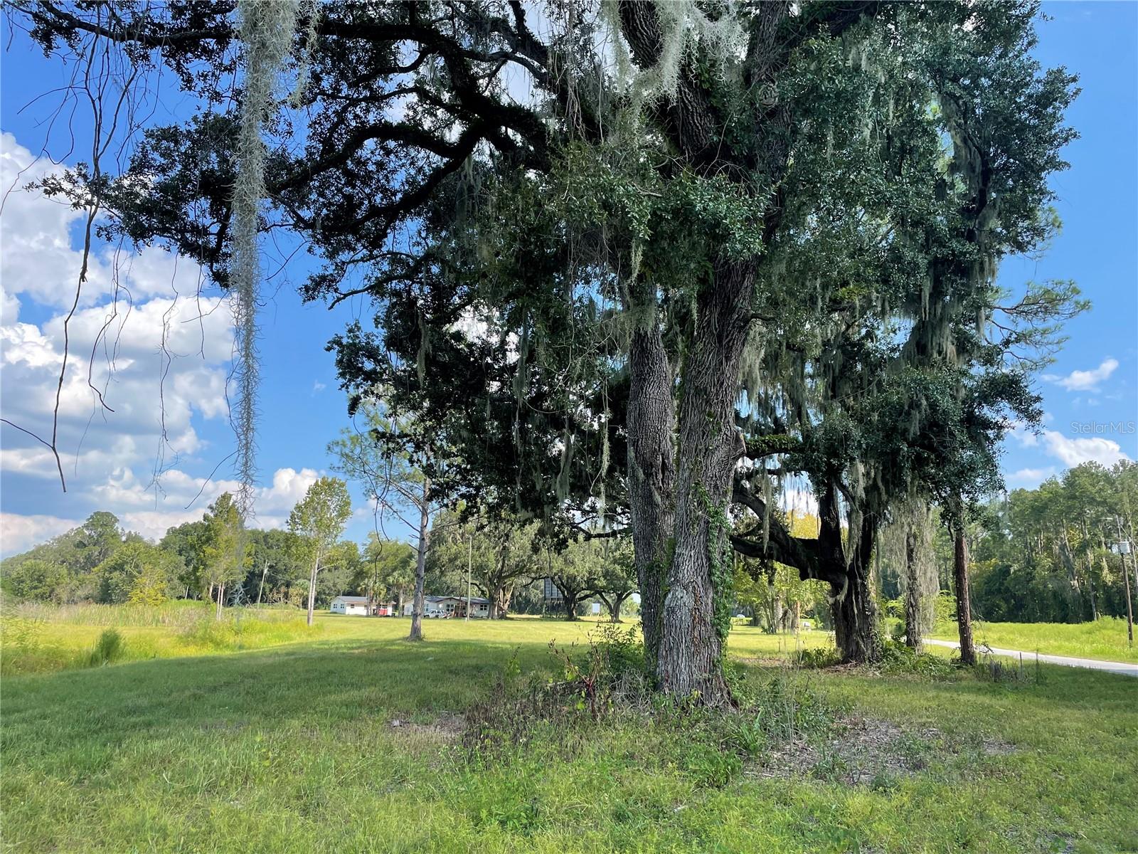 4102 County Road 181, FL