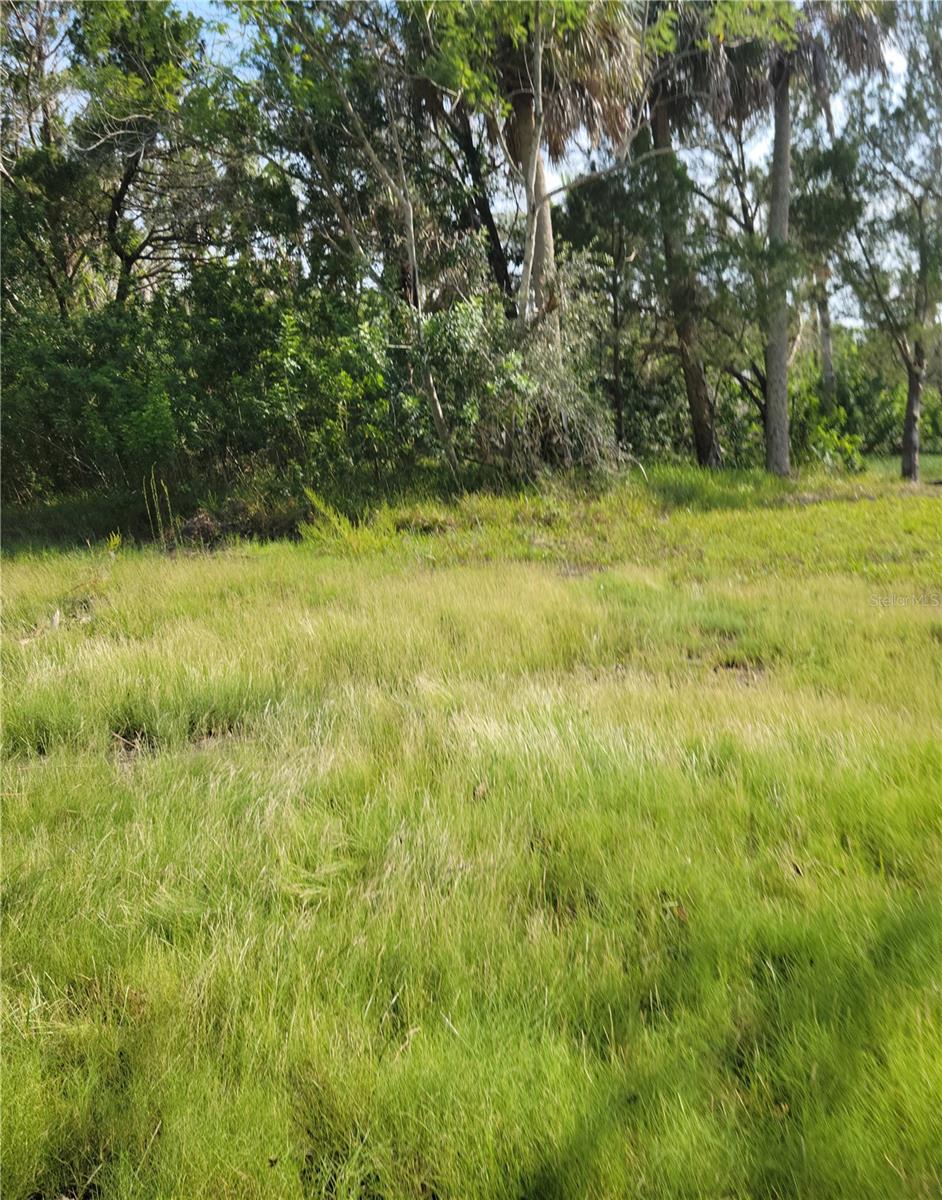 14301 Seashell Court, FL