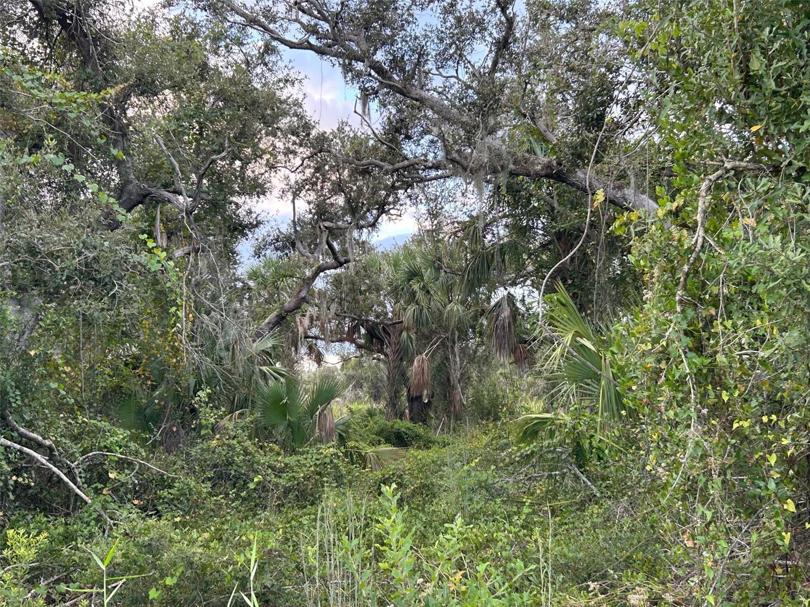 29431 Nottingham Road, FL