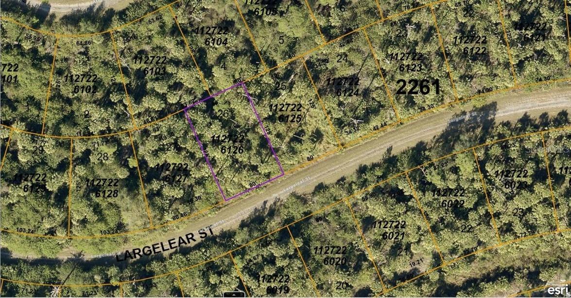 1127226126 Largeleaf Street, FL