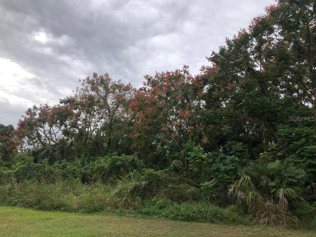Virginia Dr, FL
