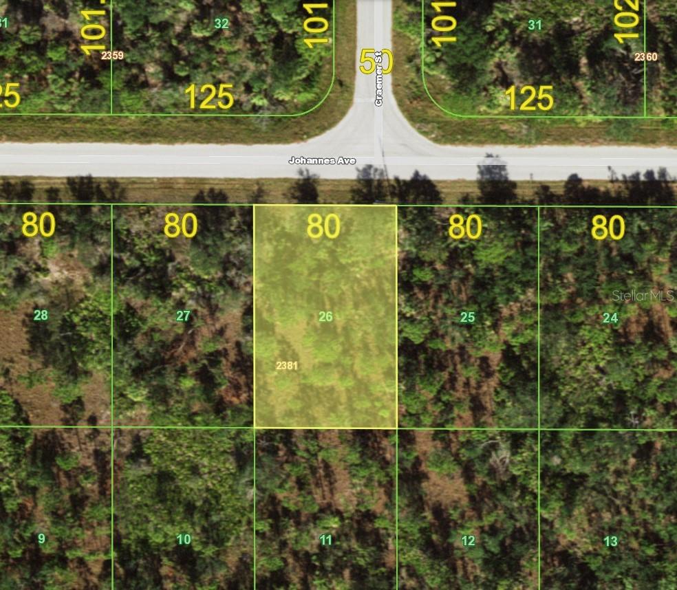 13141 Johannes Avenue, FL