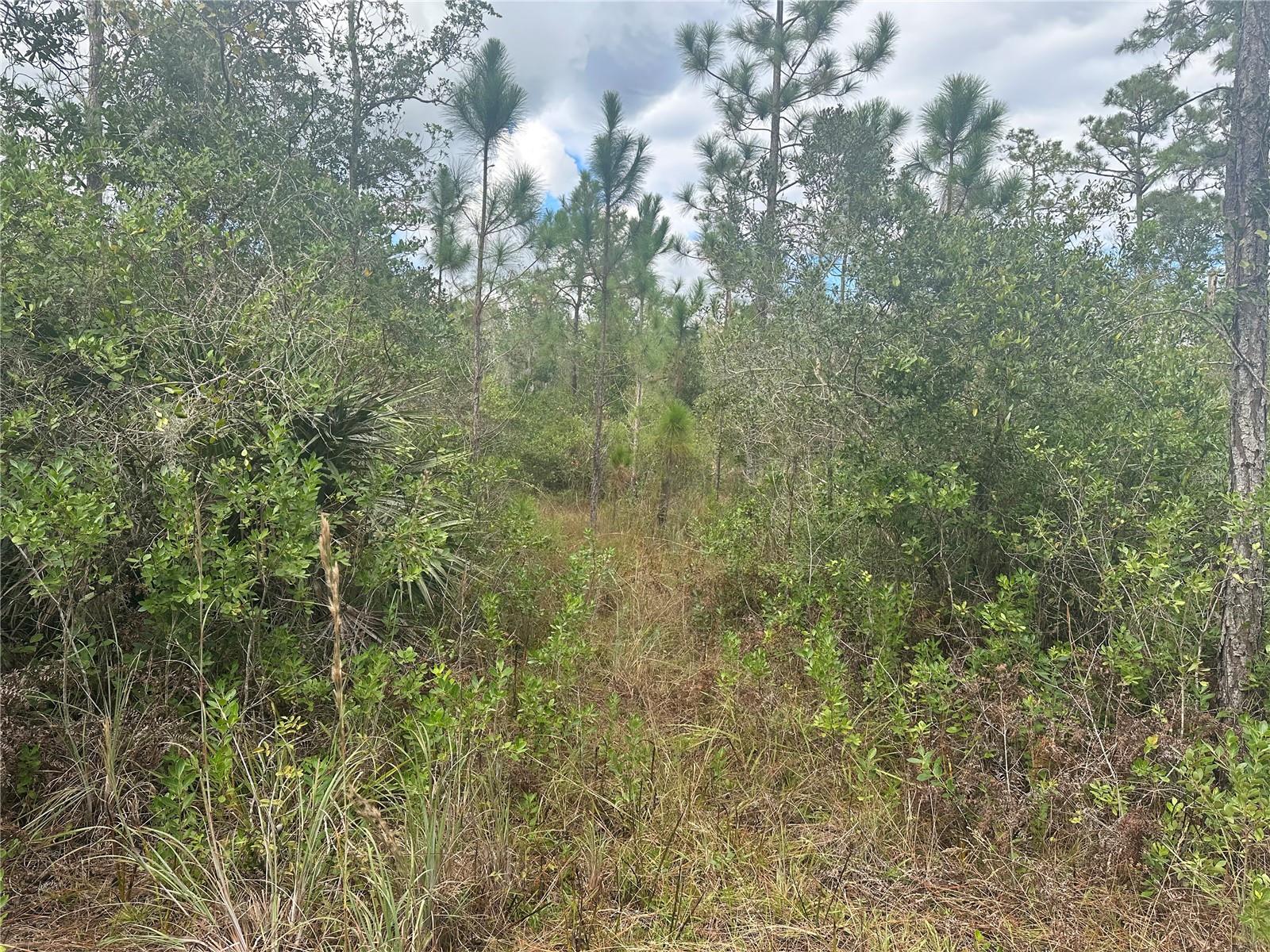 1106 Greenbriar Dr, FL
