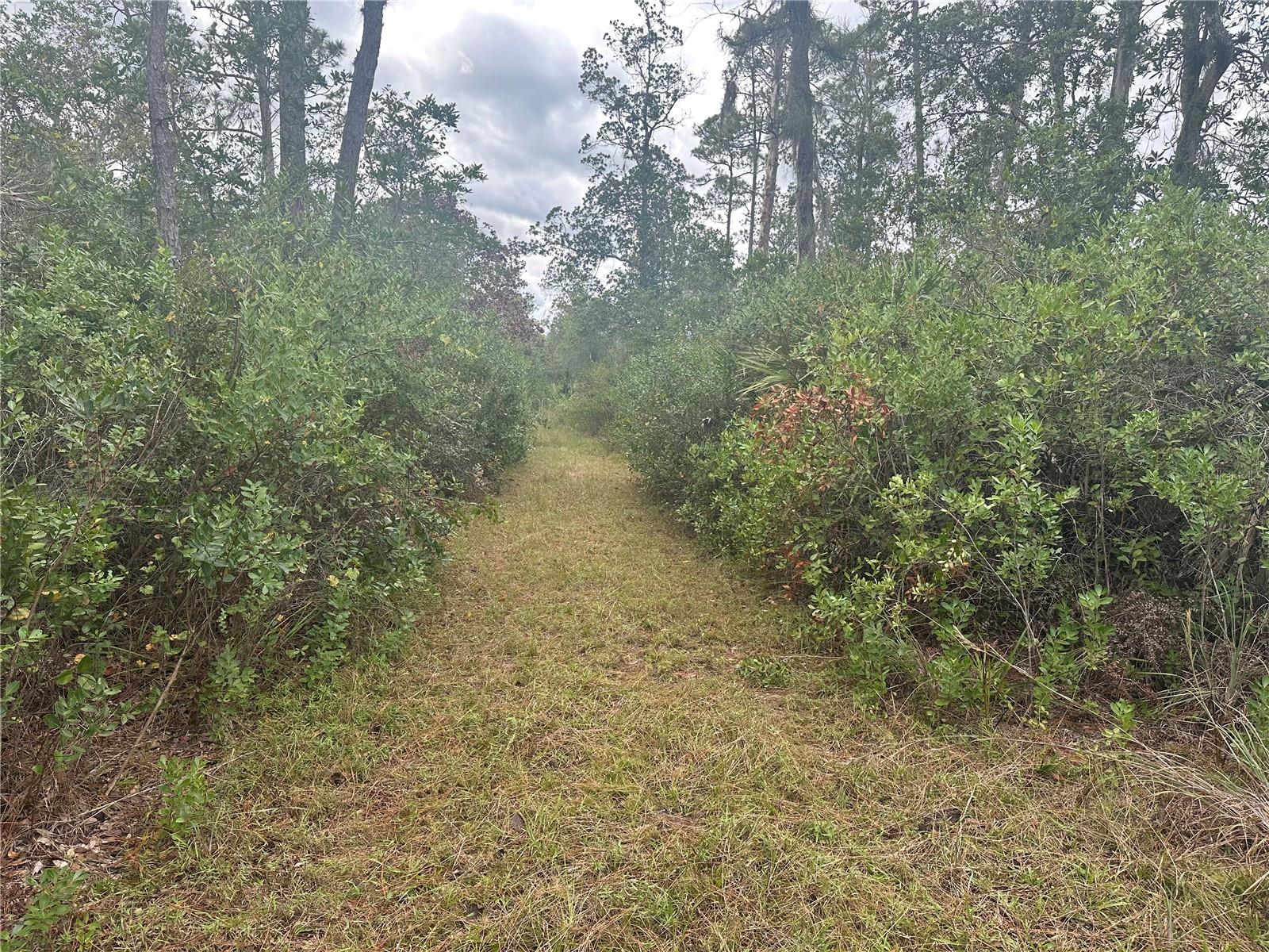 1112 Greenbriar Drive, FL