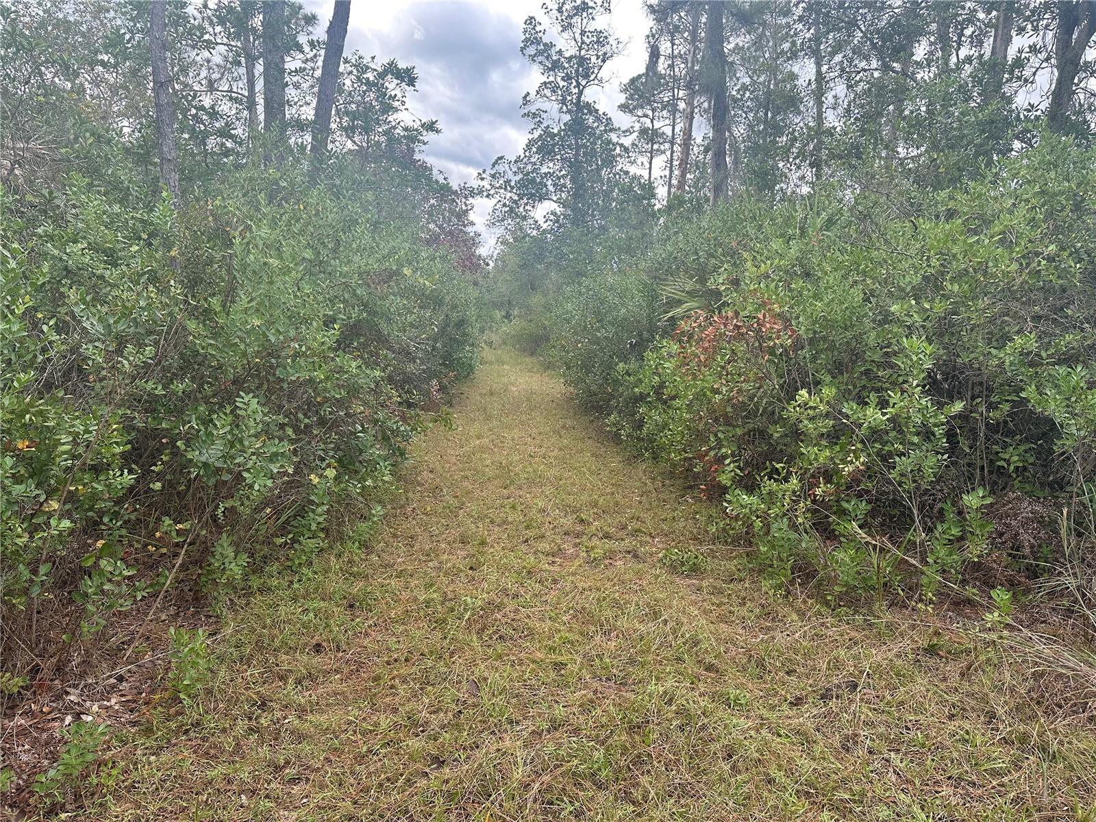 1112 Greenbriar Drive, FL