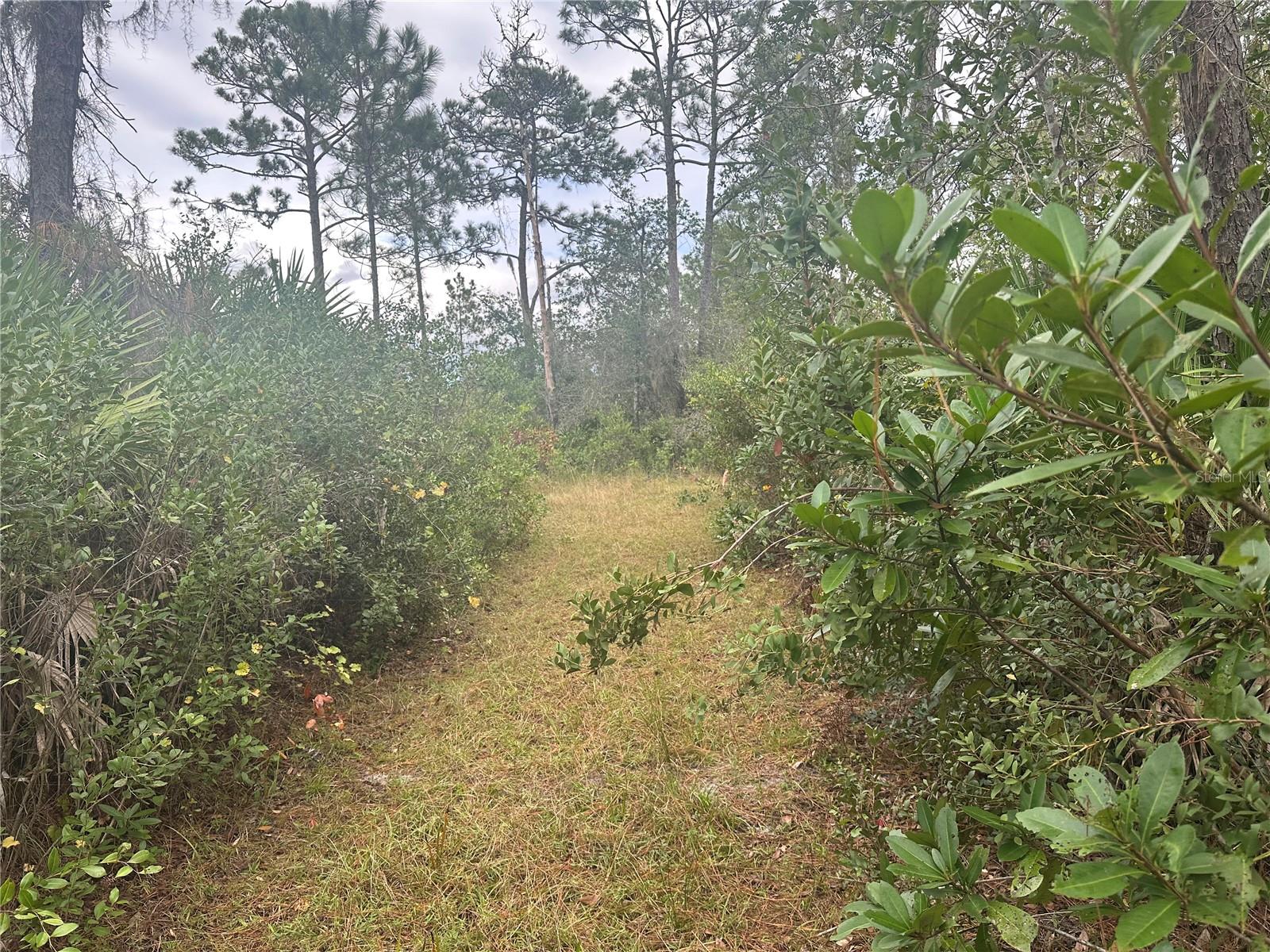 1112 Greenbriar Drive, FL