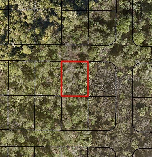 Lot 2 Volusia Ave, FL