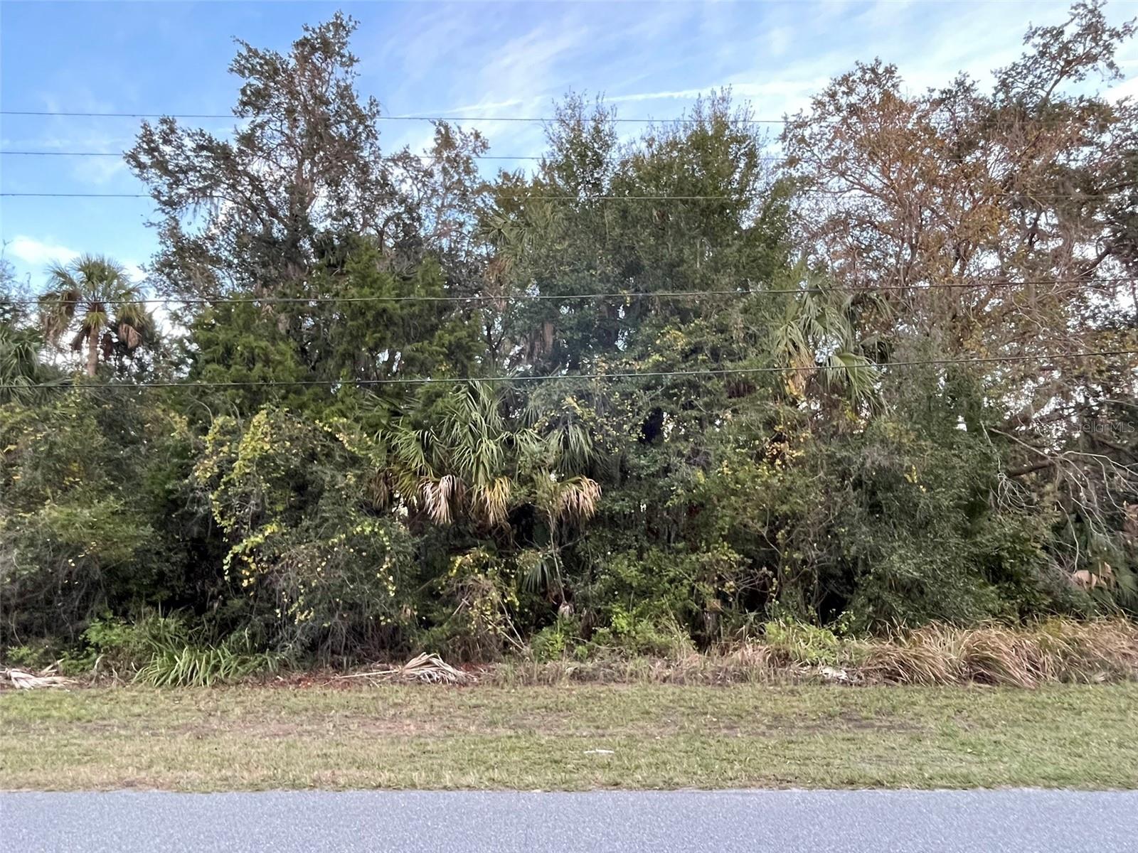 11631 W Timberlane Dr, FL