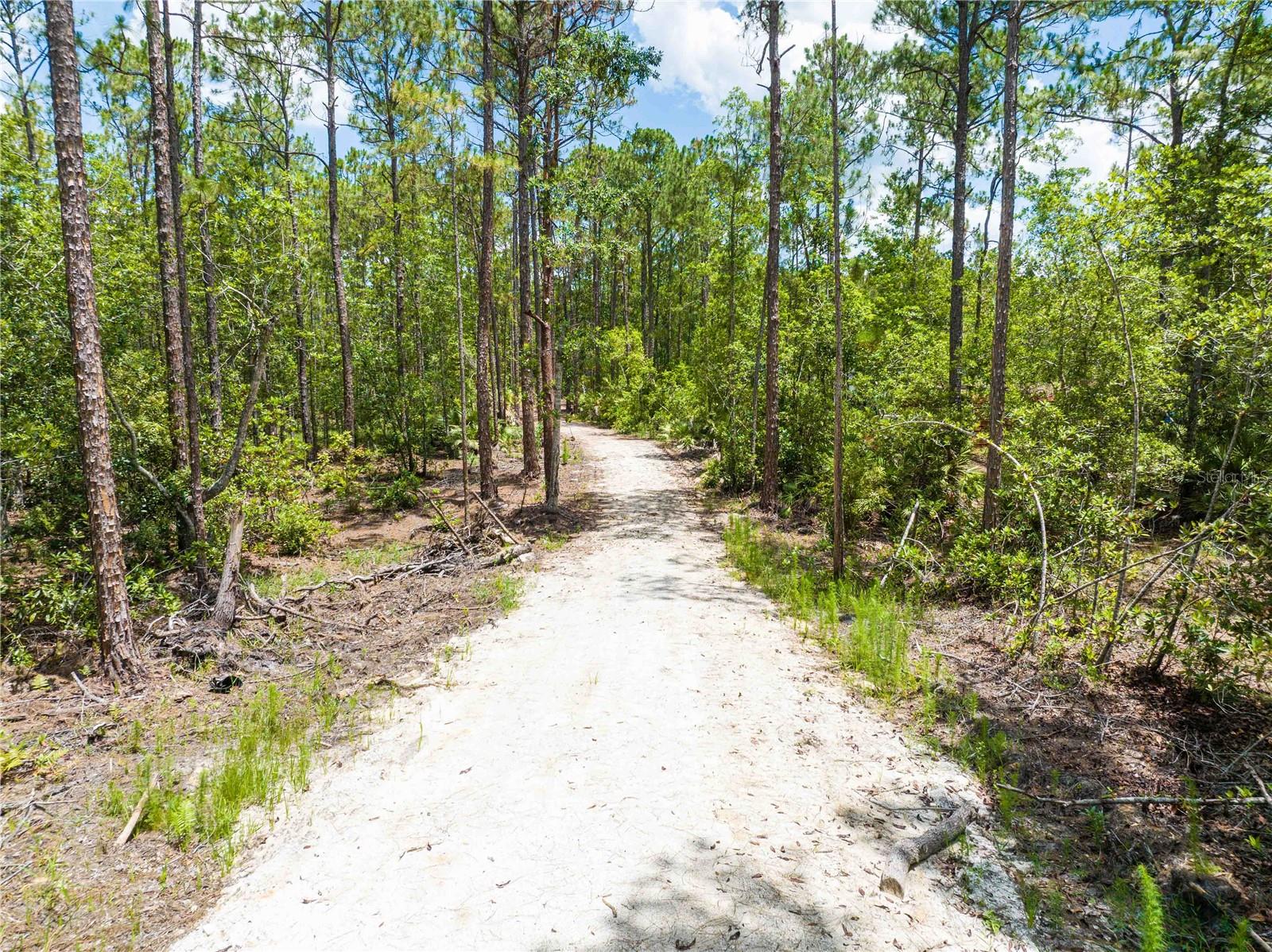 Cedar Road, FL