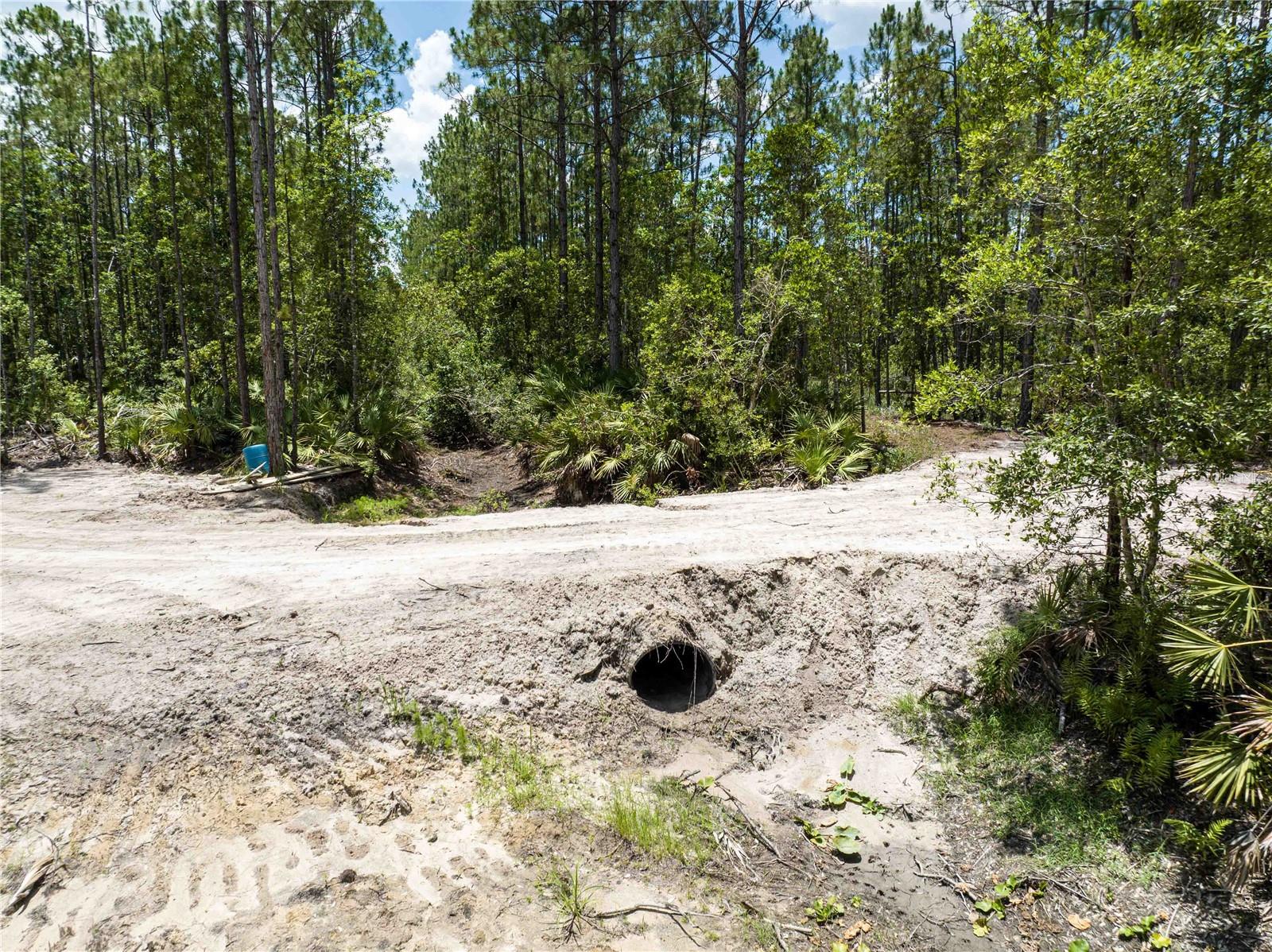 Cedar Road, FL
