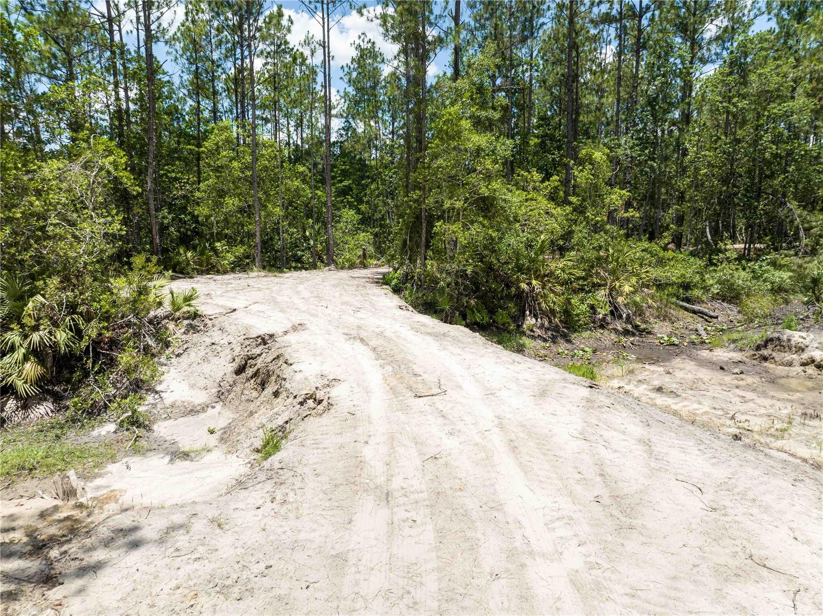 Cedar Road, FL